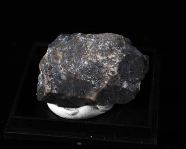 Scheuchzerite